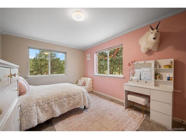 176 Fawn Rd, Bailey, CO 80421