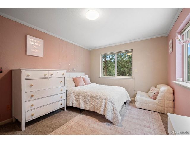 176 Fawn Rd, Bailey, CO 80421