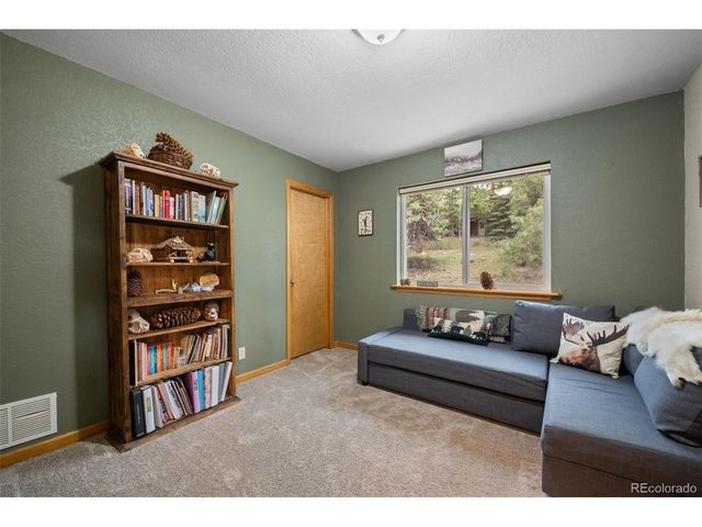 176 Fawn Rd, Bailey, CO 80421