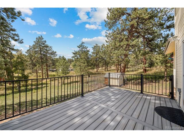 176 Fawn Rd, Bailey, CO 80421
