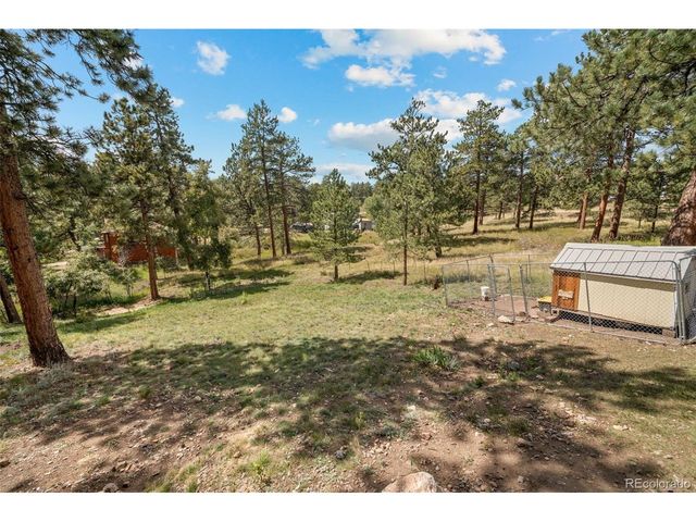 176 Fawn Rd, Bailey, CO 80421