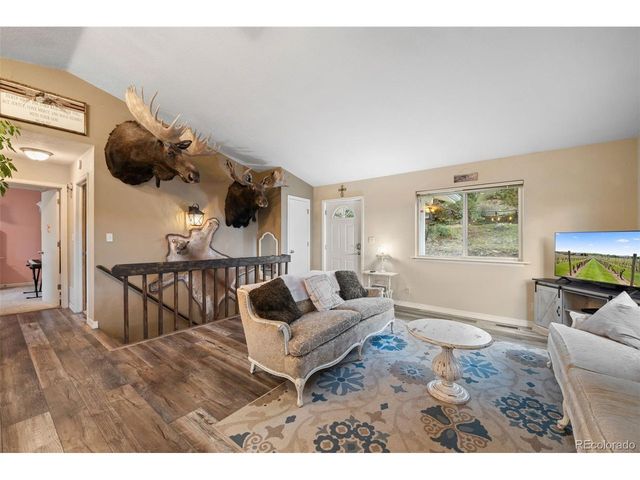 176 Fawn Rd, Bailey, CO 80421