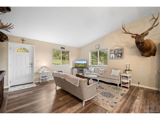 176 Fawn Rd, Bailey, CO 80421
