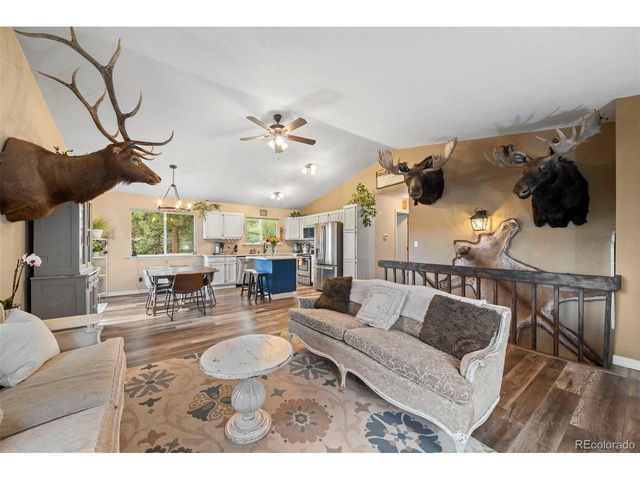 176 Fawn Rd, Bailey, CO 80421