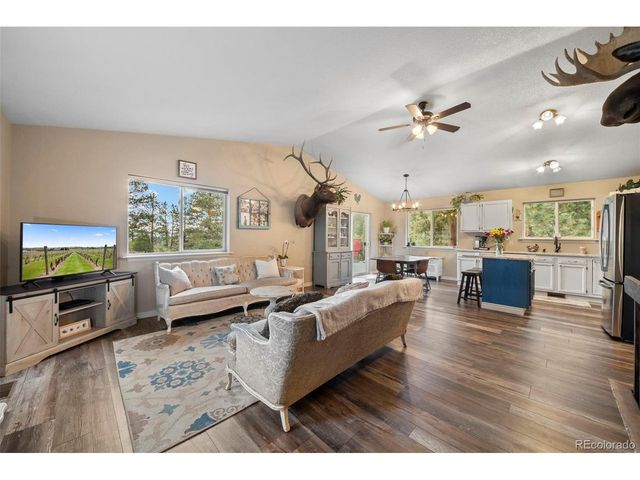 176 Fawn Rd, Bailey, CO 80421