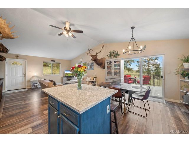 176 Fawn Rd, Bailey, CO 80421
