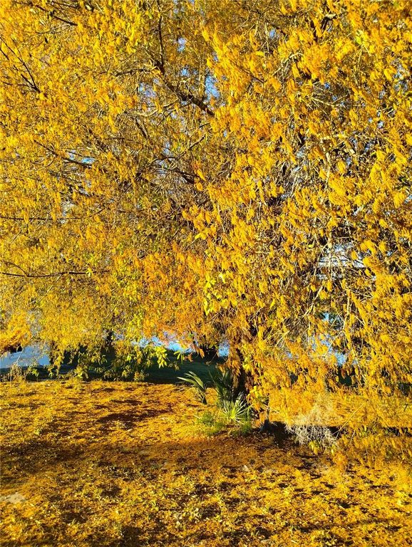 Image 22 of property listing at 417 E MAIN STREET, Dundee, FL 33838