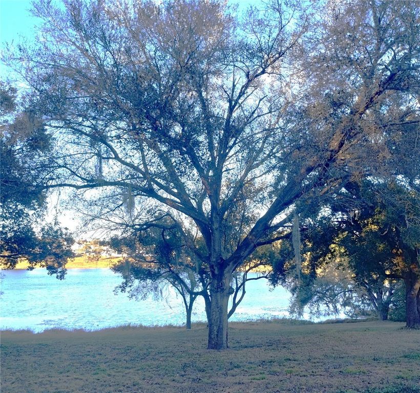 Image 24 of property listing at 417 E MAIN STREET, Dundee, FL 33838