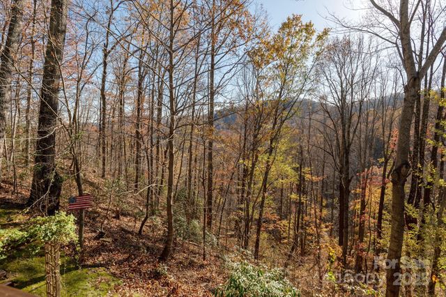 48 & 50 Wild Turkey Run, Black Mountain, NC 28711