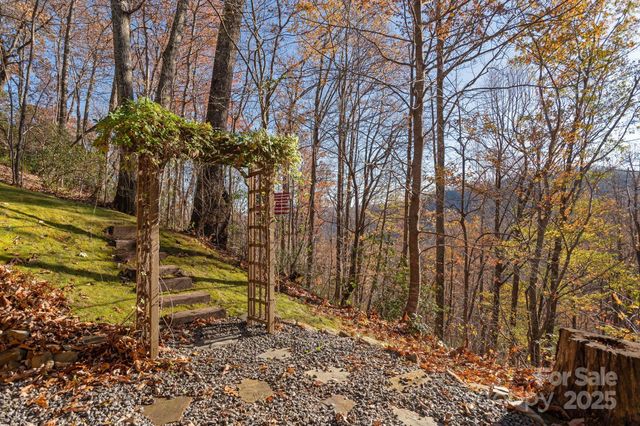 48 & 50 Wild Turkey Run, Black Mountain, NC 28711