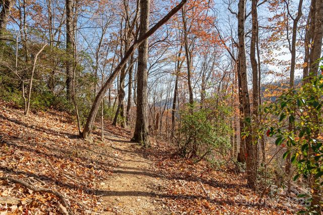 48 & 50 Wild Turkey Run, Black Mountain, NC 28711