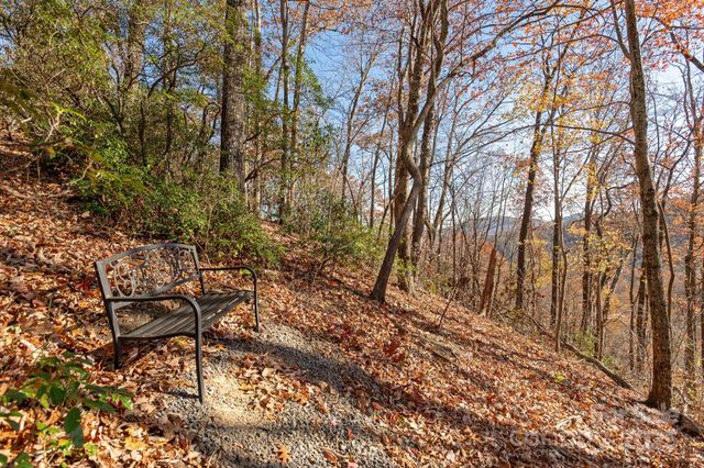 48 & 50 Wild Turkey Run, Black Mountain, NC 28711