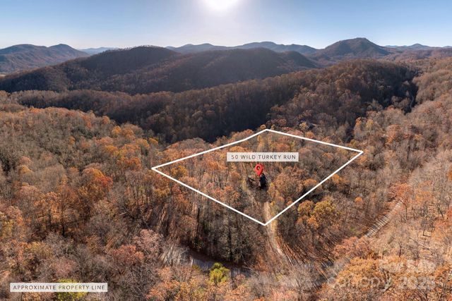 48 & 50 Wild Turkey Run, Black Mountain, NC 28711