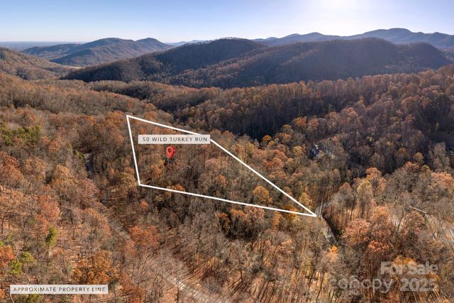 48 & 50 Wild Turkey Run, Black Mountain, NC 28711