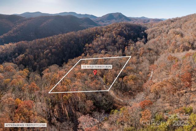 48 & 50 Wild Turkey Run, Black Mountain, NC 28711