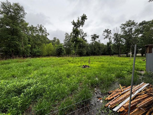 214 Mills Drive, Livingston, TX 77351