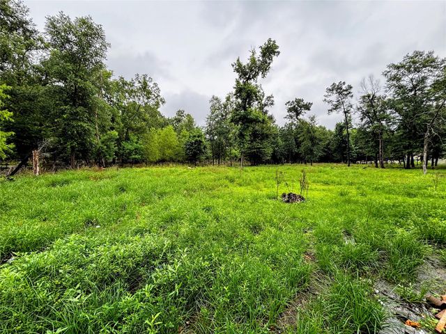 214 Mills Drive, Livingston, TX 77351