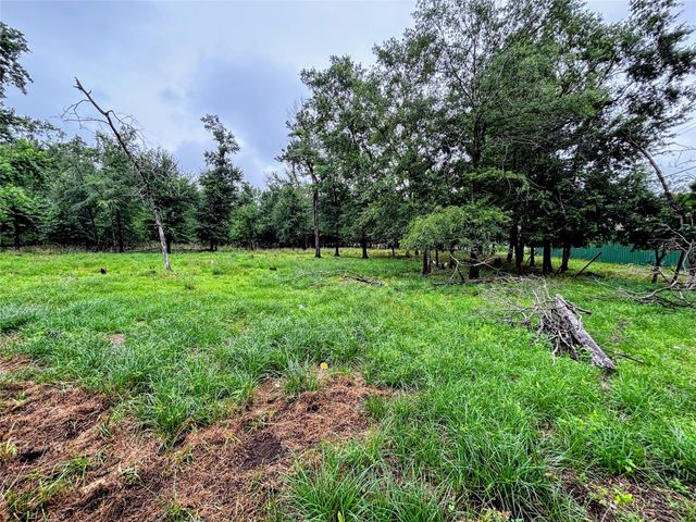 214 Mills Drive, Livingston, TX 77351