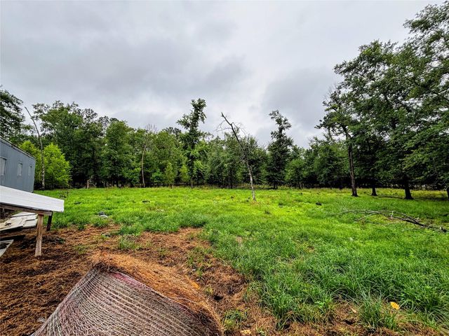 214 Mills Drive, Livingston, TX 77351