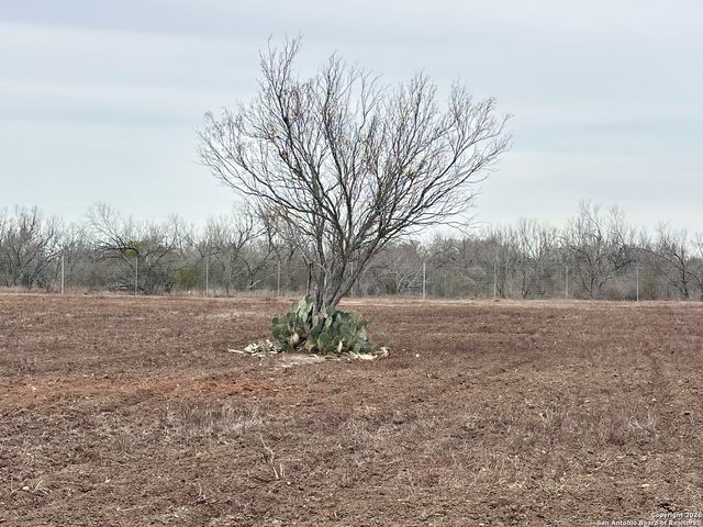 354-EASEMENT County Road, Charlotte, TX 78011