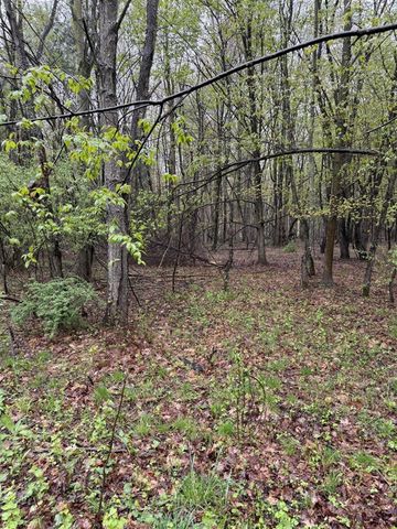 Lot 2 Christopher Lane, South Haven, MI 49090