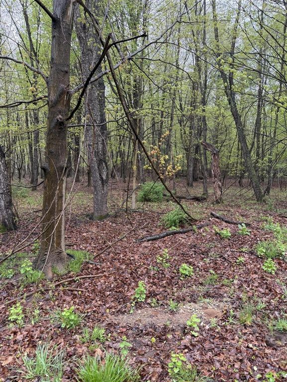 Lot 2 Christopher Lane, South Haven, MI 49090