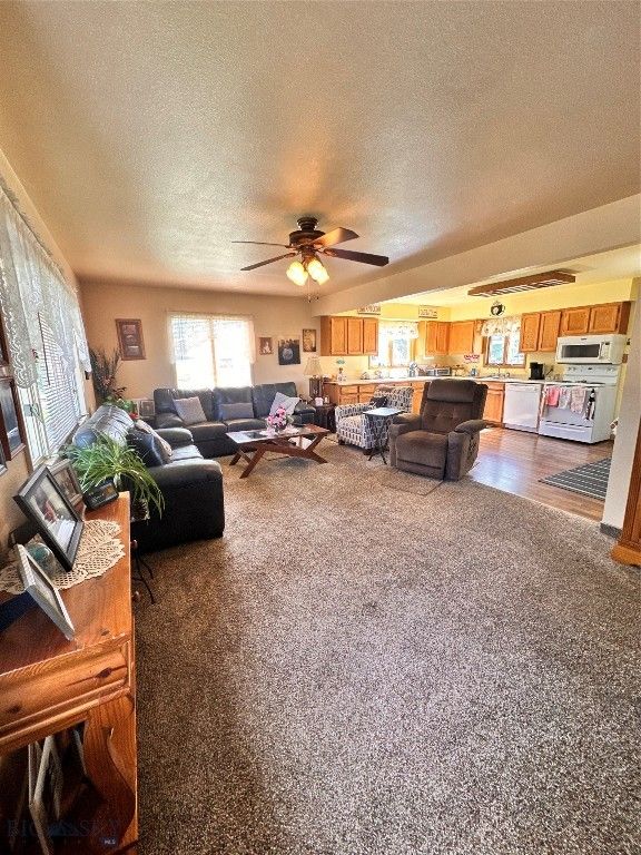 411 Mount Haggin Dr, Anaconda, MT 59711 — photo 5
