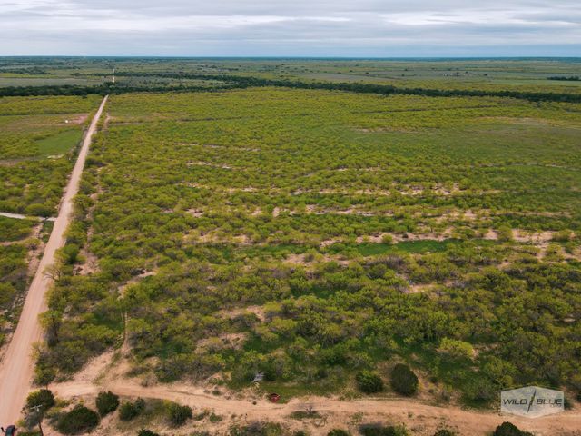 TBD CR 210, Santa Anna, TX 76878