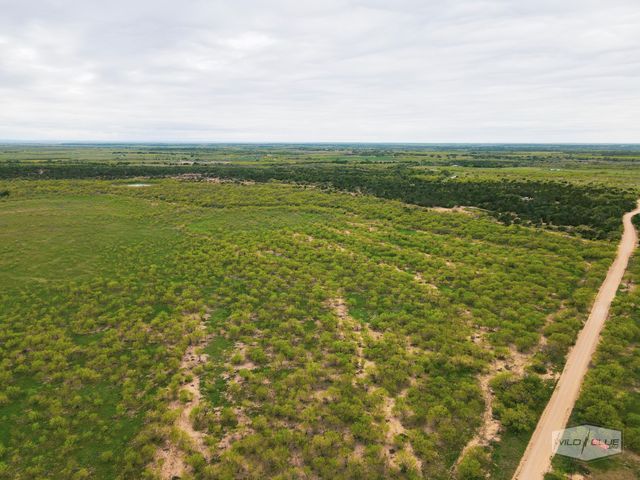 TBD CR 210, Santa Anna, TX 76878