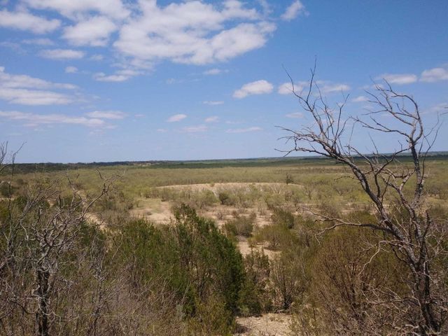 TBD CR 210, Santa Anna, TX 76878