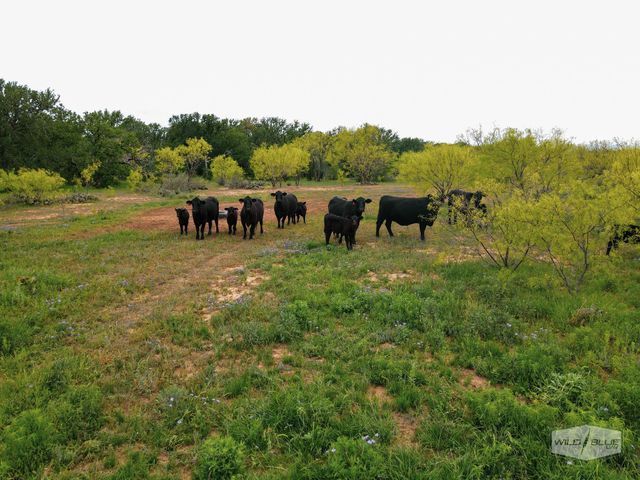 TBD CR 210, Santa Anna, TX 76878