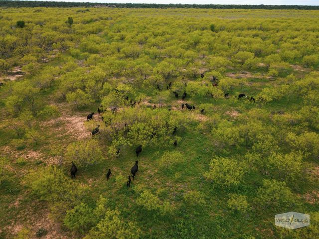 TBD CR 210, Santa Anna, TX 76878