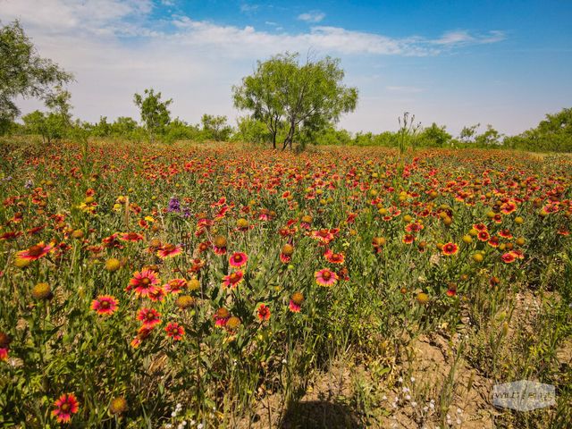 TBD CR 210, Santa Anna, TX 76878