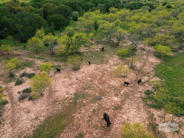 TBD CR 210, Santa Anna, TX 76878