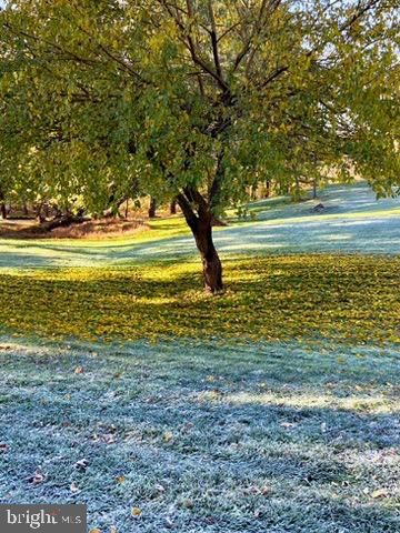 10111 DAVIS AVE, Woodstock, MD 21163