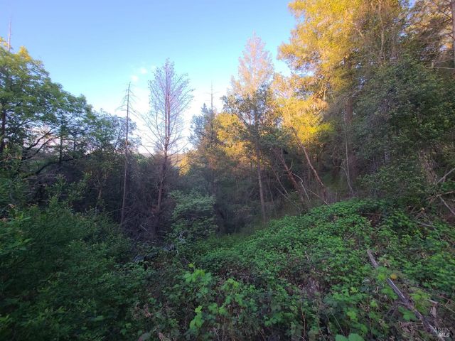 3620 Eel River Ranch Rd, Covelo, CA 95428