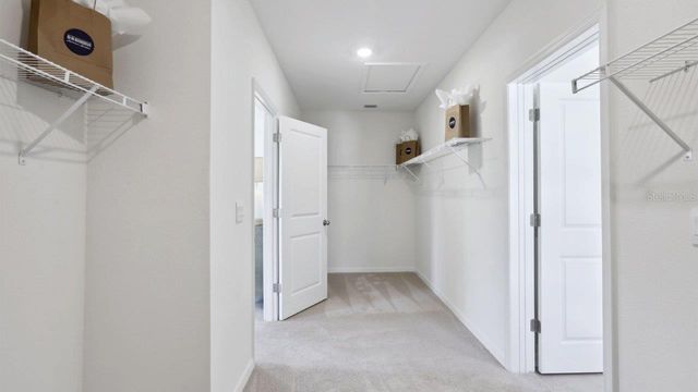 17472 ACORN DROP ROAD, Land O Lakes, FL 34638