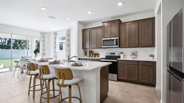 17472 ACORN DROP ROAD, Land O Lakes, FL 34638
