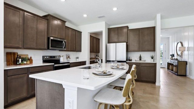 17472 ACORN DROP ROAD, Land O Lakes, FL 34638