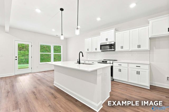 16572 Demi Drive, Athens, AL 35613