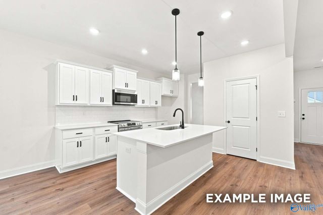 16572 Demi Drive, Athens, AL 35613