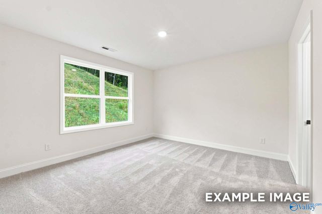 16572 Demi Drive, Athens, AL 35613