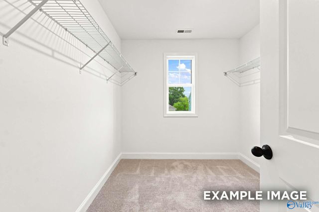 16572 Demi Drive, Athens, AL 35613