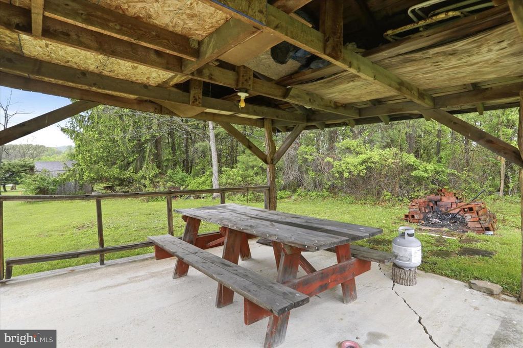 Image 44 of property listing at 10233 PARKERSBURG RD, Eckhart Mines, MD 21528