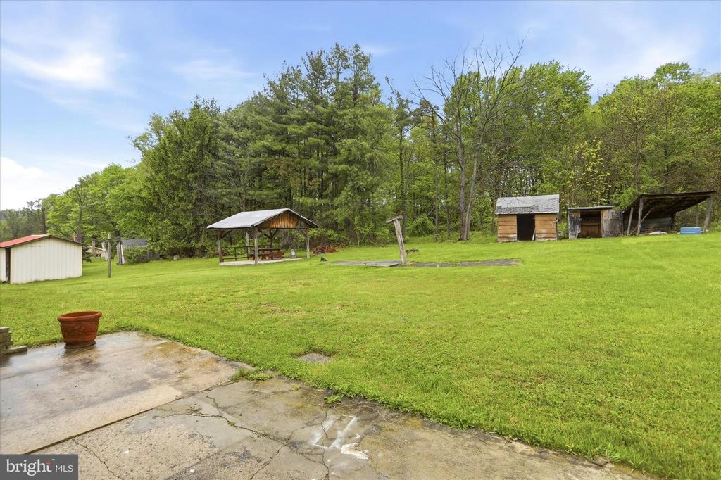 Image 48 of property listing at 10233 PARKERSBURG RD, Eckhart Mines, MD 21528