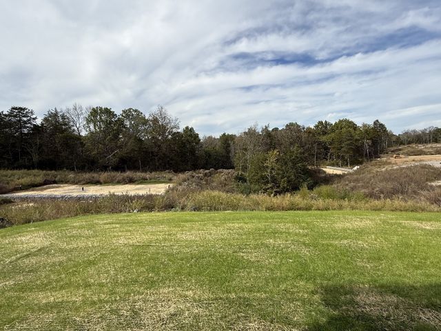 157 Emeline Way, Mount Juliet, TN 37122