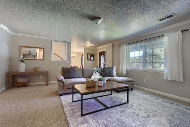 4421 Scrubby Oak Drive, Mariposa, CA 95338