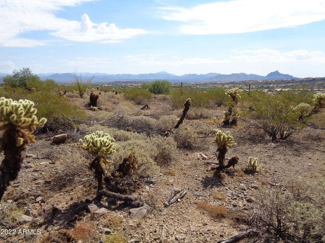 15431 N Cerro Alto Drive 5, Fountain Hills, AZ 85268