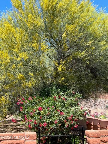 450 W San Ignacio, Green Valley, AZ 85614