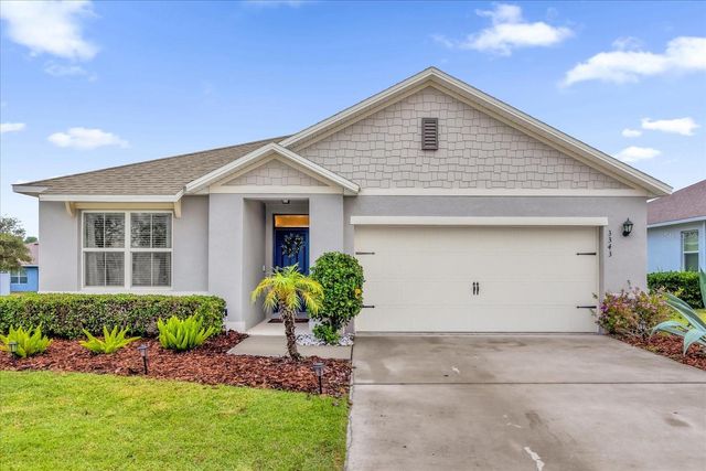 3343 WOLF RUN ROAD, Mount Dora, FL 32757